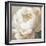 Peony Poses I-null-Framed Giclee Print