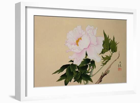 Peony, Pub. 1950-null-Framed Giclee Print