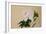 Peony, Pub. 1950-null-Framed Giclee Print