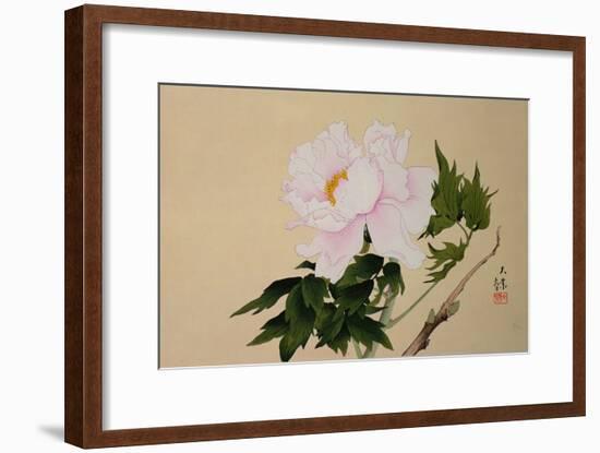 Peony, Pub. 1950-null-Framed Giclee Print