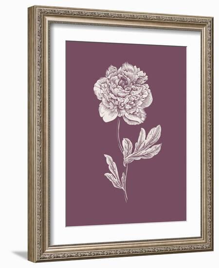 Peony Purple Flower-Jasmine Woods-Framed Art Print