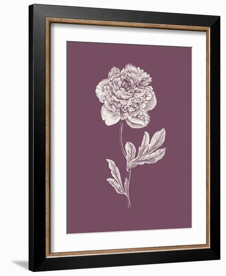 Peony Purple Flower-Jasmine Woods-Framed Art Print