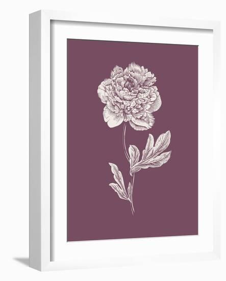 Peony Purple Flower-Jasmine Woods-Framed Art Print