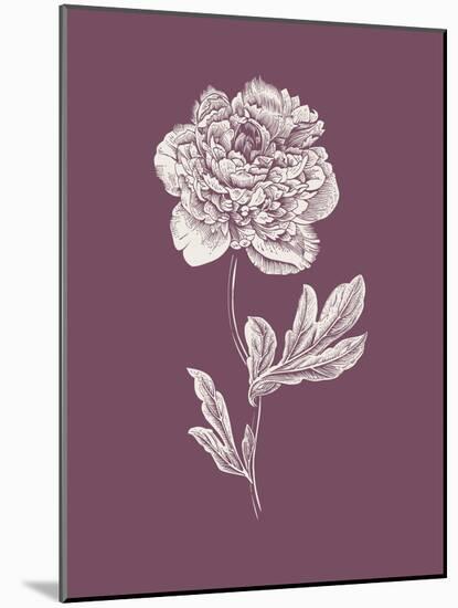 Peony Purple Flower-Jasmine Woods-Mounted Art Print