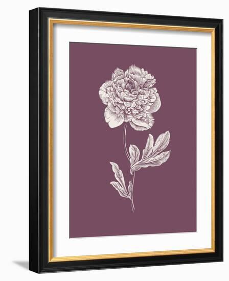 Peony Purple Flower-Jasmine Woods-Framed Art Print