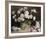 Peony Romance-Pat Moran-Framed Giclee Print