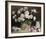 Peony Romance-Pat Moran-Framed Giclee Print