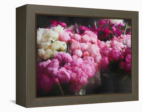 Peony Season, 2018-Helen White-Framed Premier Image Canvas