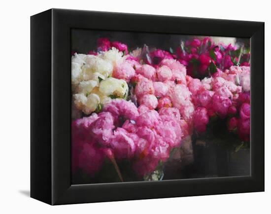 Peony Season, 2018-Helen White-Framed Premier Image Canvas