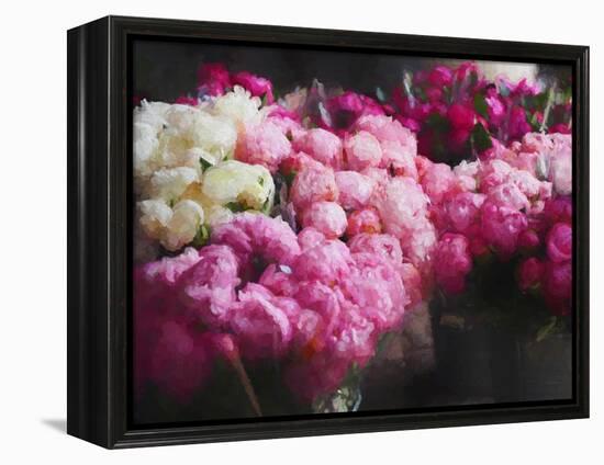 Peony Season, 2018-Helen White-Framed Premier Image Canvas