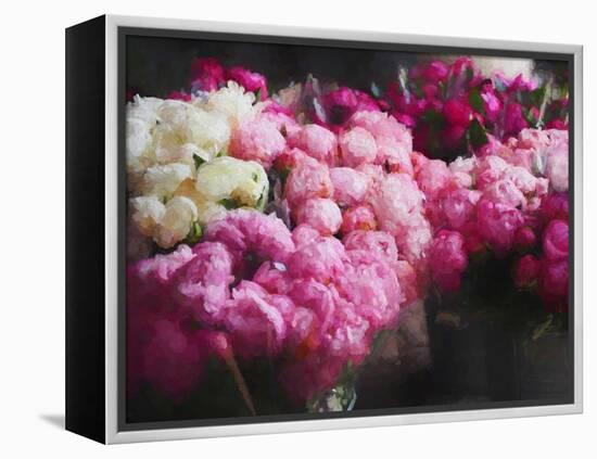 Peony Season, 2018-Helen White-Framed Premier Image Canvas