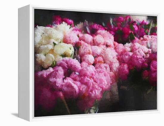 Peony Season, 2018-Helen White-Framed Premier Image Canvas