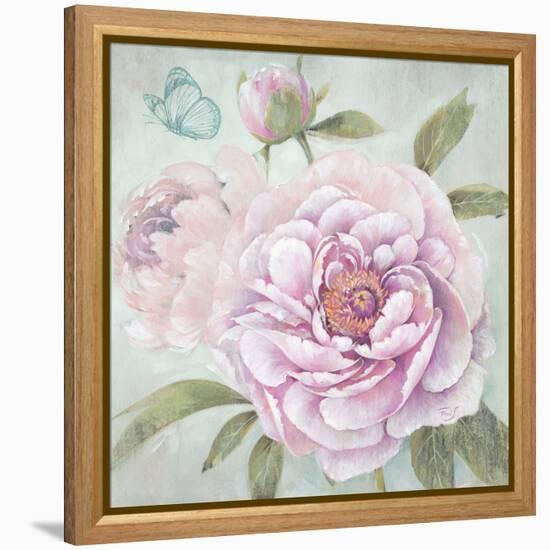 Peony Shimmer-Stefania Ferri-Framed Stretched Canvas