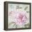 Peony Shimmer-Stefania Ferri-Framed Stretched Canvas