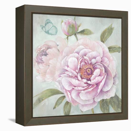 Peony Shimmer-Stefania Ferri-Framed Stretched Canvas