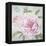 Peony Shimmer-Stefania Ferri-Framed Stretched Canvas