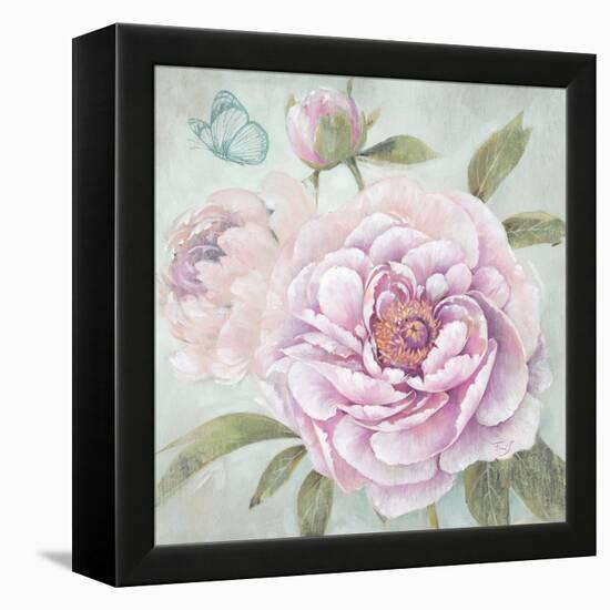 Peony Shimmer-Stefania Ferri-Framed Stretched Canvas