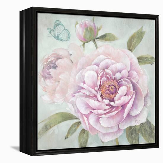 Peony Shimmer-Stefania Ferri-Framed Stretched Canvas