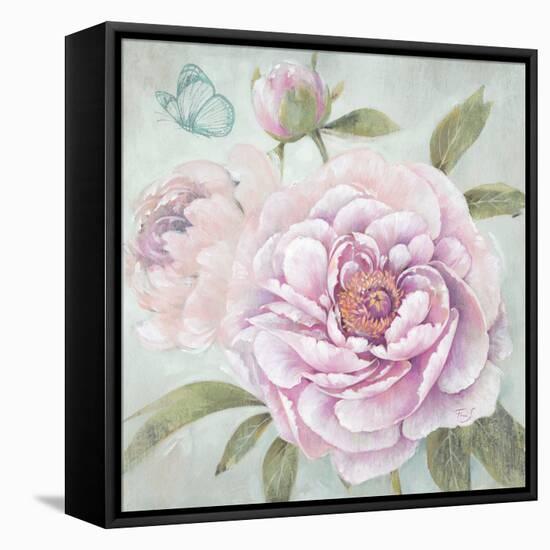 Peony Shimmer-Stefania Ferri-Framed Stretched Canvas