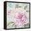 Peony Shimmer-Stefania Ferri-Framed Stretched Canvas