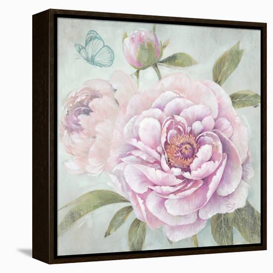 Peony Shimmer-Stefania Ferri-Framed Stretched Canvas