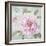 Peony Shimmer-Stefania Ferri-Framed Art Print