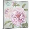 Peony Shimmer-Stefania Ferri-Mounted Art Print