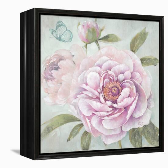 Peony Shimmer-Stefania Ferri-Framed Stretched Canvas