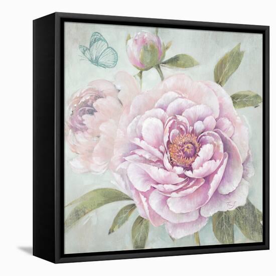 Peony Shimmer-Stefania Ferri-Framed Stretched Canvas