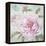 Peony Shimmer-Stefania Ferri-Framed Stretched Canvas