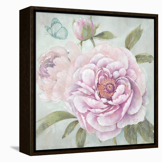 Peony Shimmer-Stefania Ferri-Framed Stretched Canvas