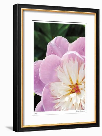 Peony Study-Stacy Bass-Framed Giclee Print