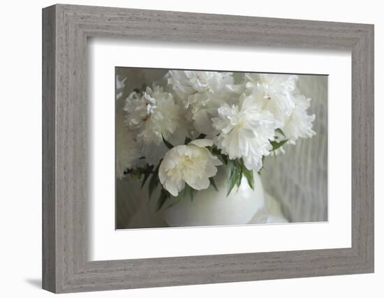 Peony Study-Anna Miller-Framed Photographic Print