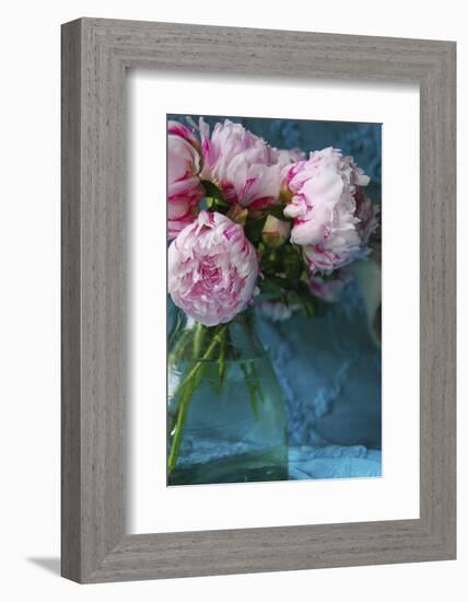 Peony Study-Anna Miller-Framed Photographic Print