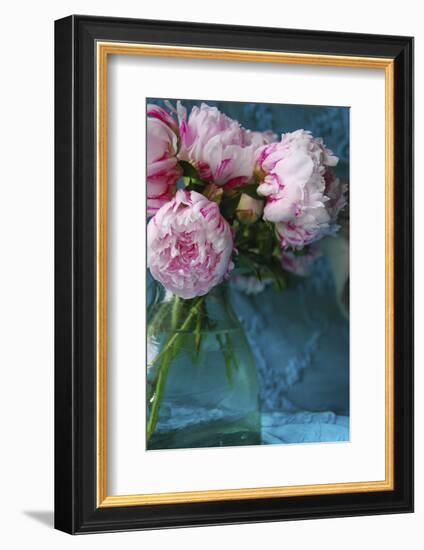 Peony Study-Anna Miller-Framed Photographic Print