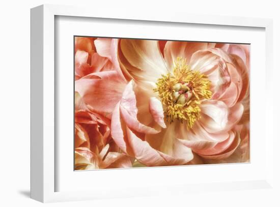 Peony Two-Diane Poinski-Framed Giclee Print