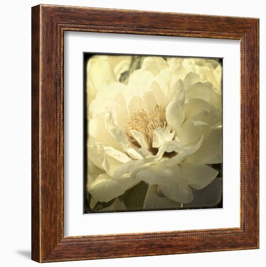 Peony with Red-Judy Stalus-Framed Art Print