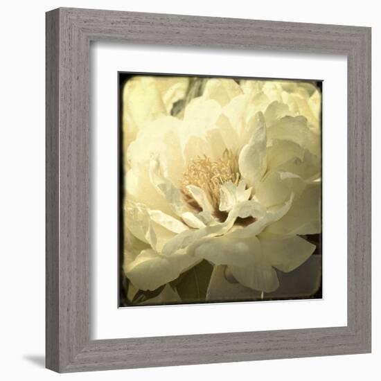 Peony with Red-Judy Stalus-Framed Art Print