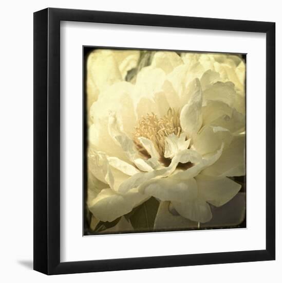 Peony with Red-Judy Stalus-Framed Art Print