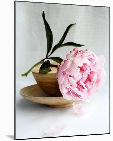 Peony-Amelie Vuillon-Mounted Art Print