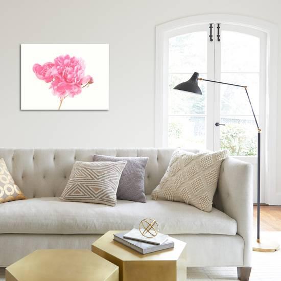 Peony Giclee Print The Gingham Owl Art Com