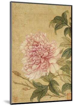 Peony-Yun Shouping-Mounted Premium Giclee Print