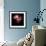 Peony-Magda Indigo-Framed Photographic Print displayed on a wall