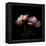 Peony-Magda Indigo-Framed Premier Image Canvas