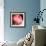 Peony-Katano Nicole-Framed Photo displayed on a wall