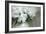 Peony-Anna Miller-Framed Photographic Print