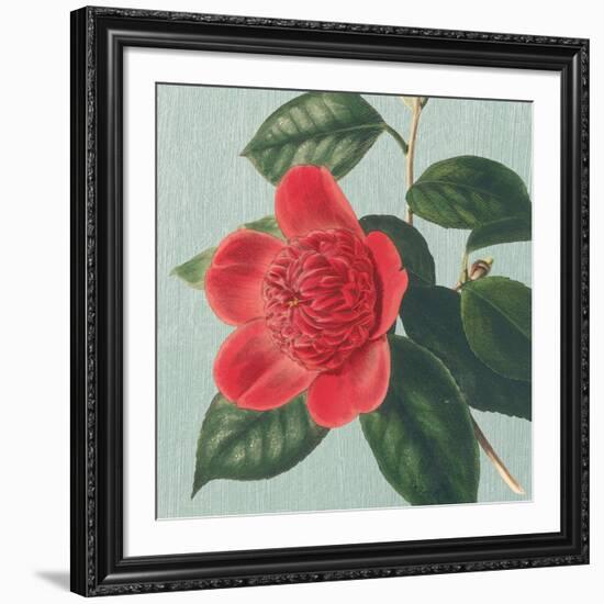 Peony-Sarah E^ Chilton-Framed Art Print