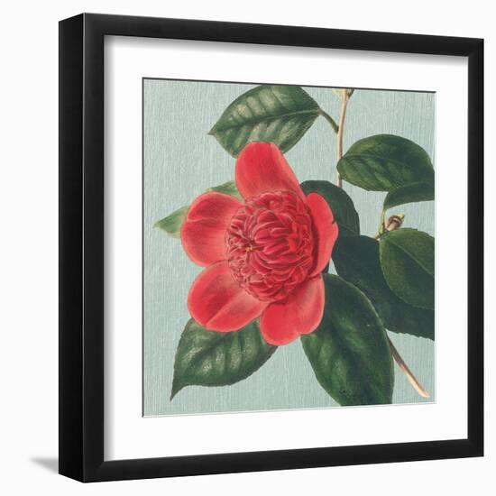 Peony-Sarah E^ Chilton-Framed Art Print