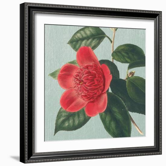 Peony-Sarah E^ Chilton-Framed Art Print