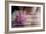 Peony-Valda Bailey-Framed Photographic Print